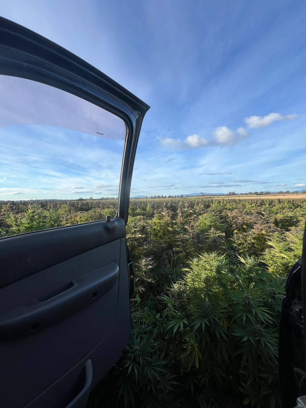 The outdoor field at harvest time, seen through the open door of the farm ute